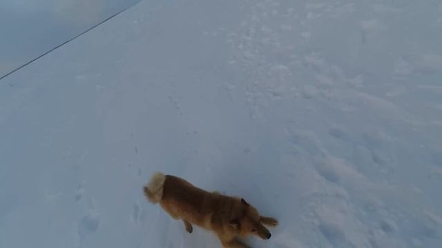 рыбалка