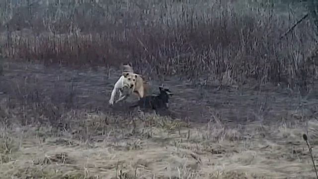 Ошибка природы? Как понимать? смотреть онлайн