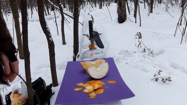 Зимняя прогулка в парке с приготовлением глинтвейна. 18+