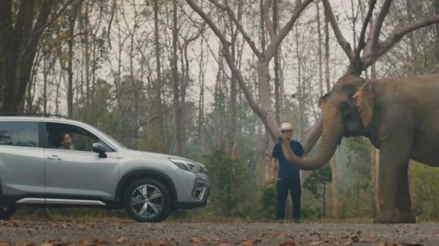 เหนือกว่าทุกความปลอดภัยที่เคยมี | Subaru Forester EyeSight смотреть онлайн