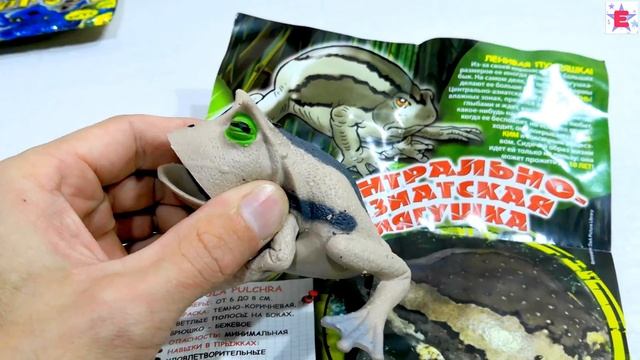 Deagostini  Лягушки и КО Женя и Есения распаковывают пакетики с игрушками