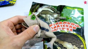 Deagostini  Лягушки и КО Женя и Есения распаковывают пакетики с игрушками