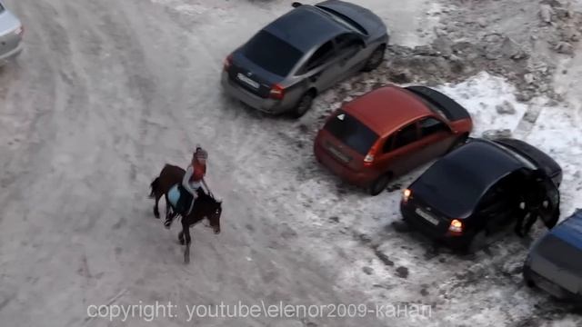 Как девочка справляется с упрямой лошадью смотреть онлайн