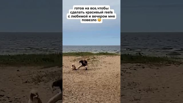 #жиза #жизньвдеревне #чудики #блогеры #семейныйканал смотреть онлайн