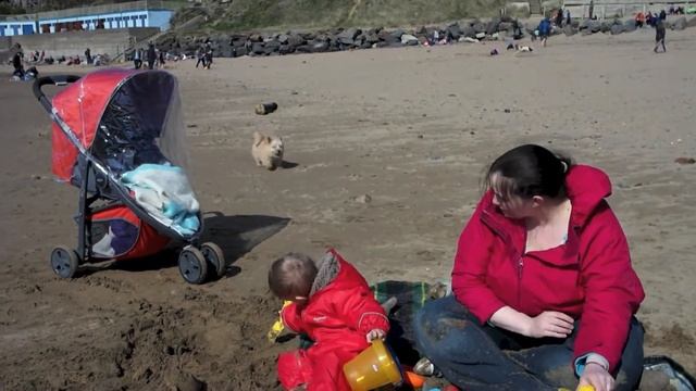 Graco Evo Mini - At the beach смотреть онлайн