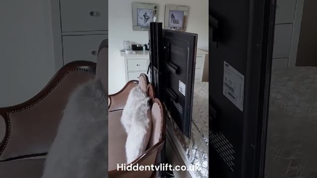 Venset TS1000a end of bed installation. Including floor mounting bracket смотреть онлайн