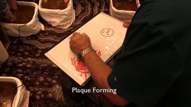 Gencel Ion Cell Cleanse® - Explanation - Why Your Cells Need Ion Cell Cleanse смотреть онлайн