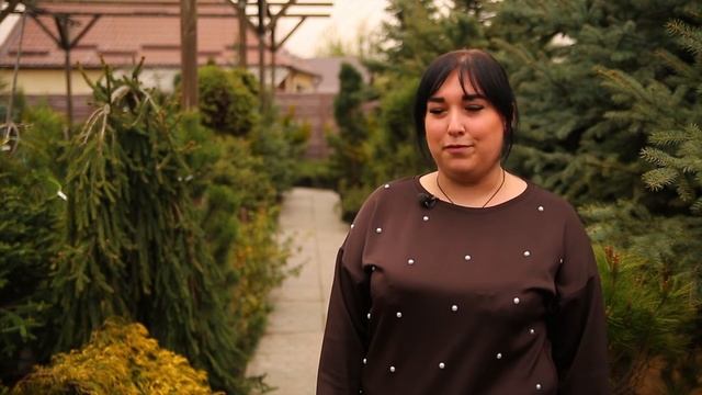 СЦ «Рестария» смотреть онлайн