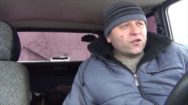 Брошенная собачка в городе от нас сбежала, у дверей вет.клиники. смотреть онлайн