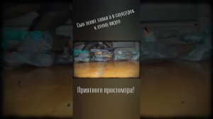 Мультики про танки