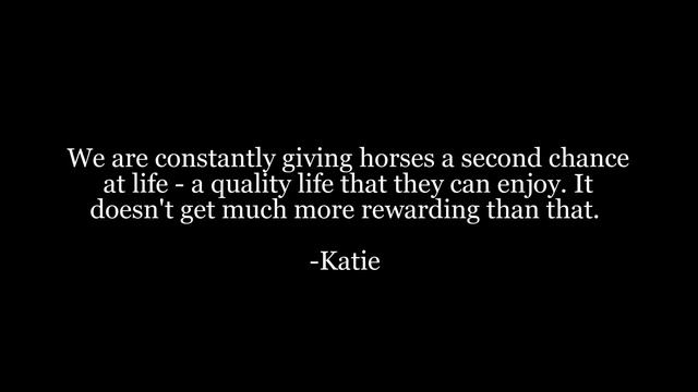 All for the Horse - Meet the Equine Team at Countryside смотреть онлайн