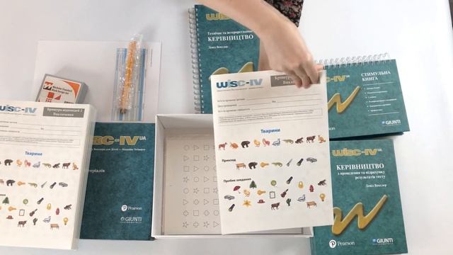 Огляд методики WISC IV смотреть онлайн