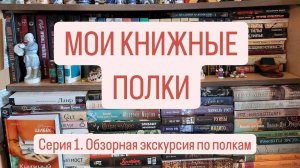 МОИ КНИЖНЫЕ ПОЛКИ | Обзорная экскурсия по моим полкам