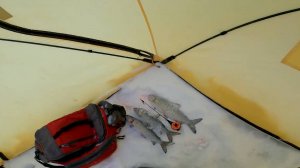 Рыбалка у чёрной дыры. Ловля налима. Сорок восьмая серия.