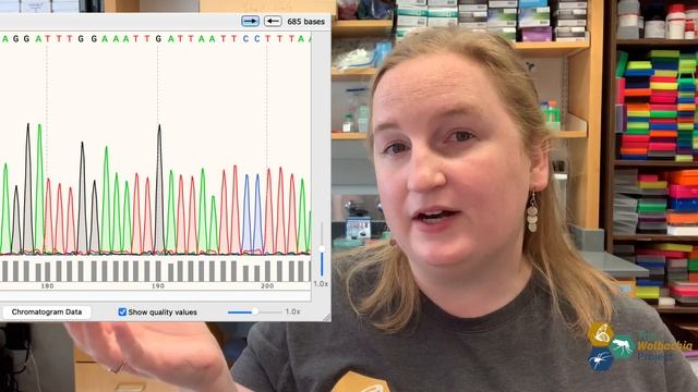 Introduction to DNA Bioinformatics: Sanger Sequencing смотреть онлайн