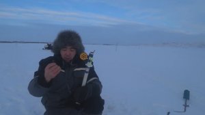 лучшая жерлица для ночной рыбалки