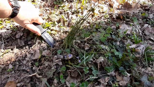 Medveđi luk @mikivejn смотреть онлайн