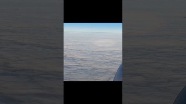 21-12-2024 смотреть онлайн