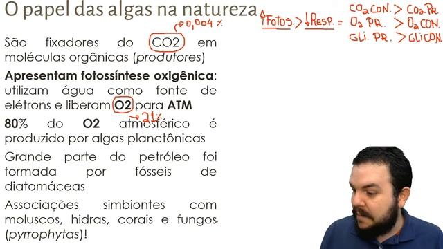Introdução à botânica 04 - O papel das algas nos ecossistemas смотреть онлайн