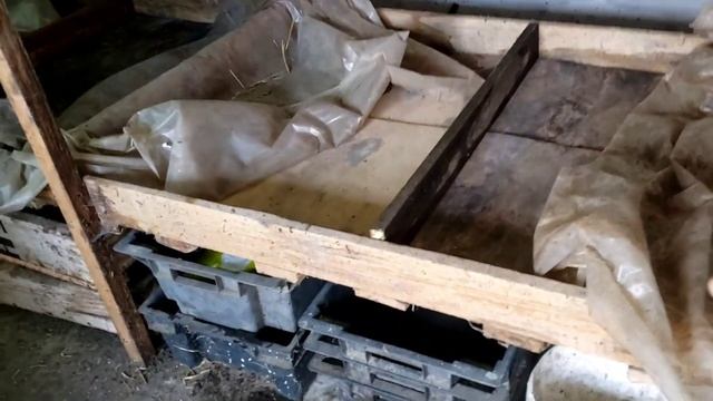 Подготовка к переселению червей. смотреть онлайн