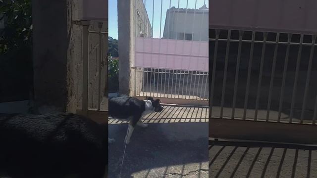 primera vez na rua смотреть онлайн