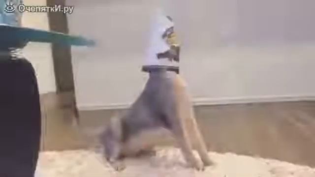 Древние мудрецы