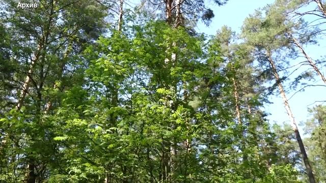 Лучшие учителя смотреть онлайн