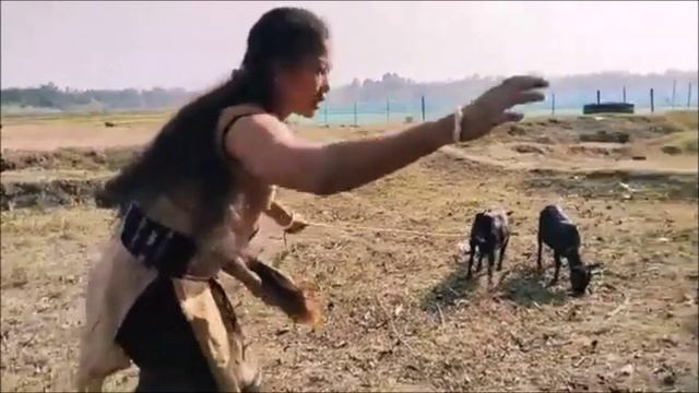 4 Goats In Riding _ Goat Riding _ Riding Goat ♥️❤️