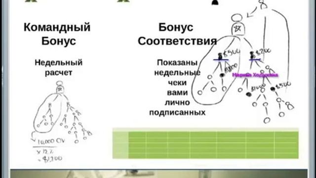 Маркетинг план FG XPRESS смотреть онлайн