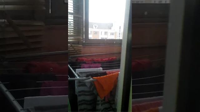ЭТО ПРАВДА!? Джесику съела рыба молот😵😵😵😵😵 смотреть онлайн