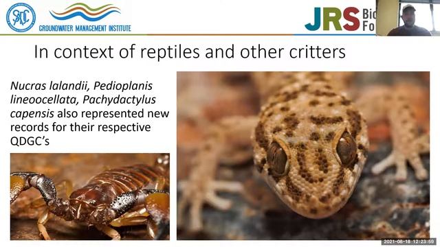 13.4 - Frog biodiversity of the Khakea:Bray Transboundary Aquifer System by Chad Keates смотреть онлайн
