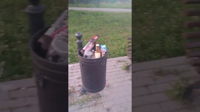 Красный Бор смотреть онлайн