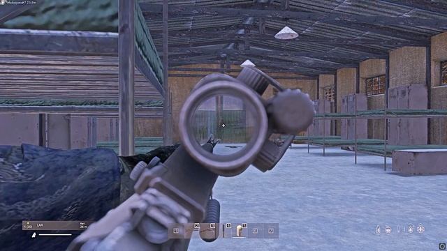 Однажды в DayZ.