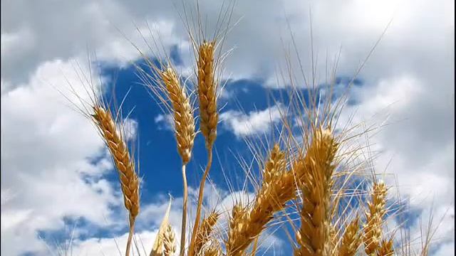 Priroda Srbije / Nature Of Serbia