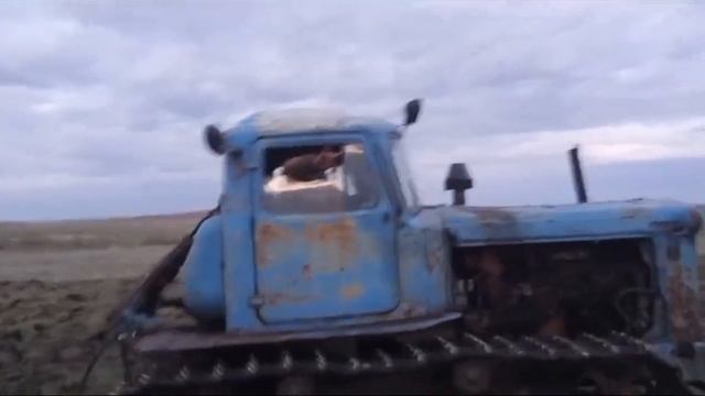 @ТОТО- спой мне за life