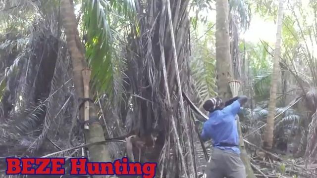 How To Catch Monkeys Easy (Beze Hunting) смотреть онлайн