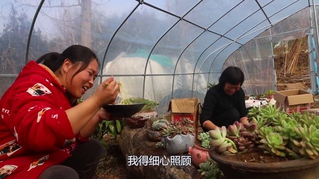 胖妹家年猪办了，婆婆让大洋给丈母娘送肉，60斤肉够吃到开春了/干锅羊头【陈说美食】 смотреть онлайн