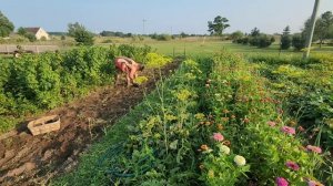 СЕЛЬЧАНКА В АМЕРИКЕ /ВСЁ В ХОЗЯЙСТВЕ ПРИГОДИТСЯ /НЕ ГОРОДСКАЯ АМЕРИКА !