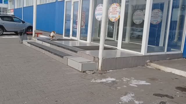 ПОКУПКИ, спустя 16 лет мы его СМЕНИЛИ. Люблю ПОСМАКОВАТЬ 😋 смотреть онлайн