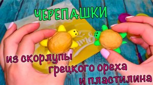 Поделка ЧЕРЕПАШКА из пластилина и грецкого ореха • простые поделки для детей