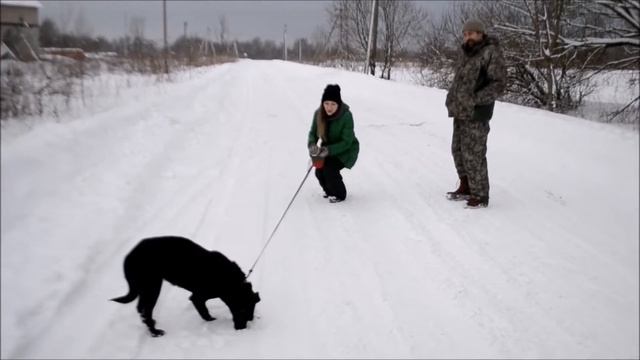 Хозяйка выходного дня смотреть онлайн