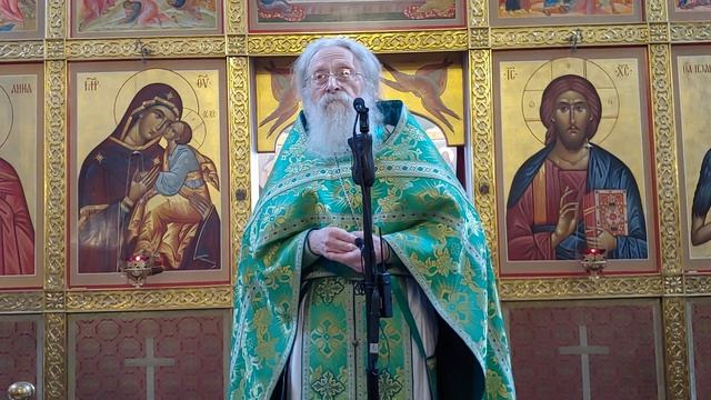 Да приидет Царствие Твое.. Проповедь воскресная в Праздник Входа Господня в Иерусалим. 28.04.2024 г смотреть онлайн