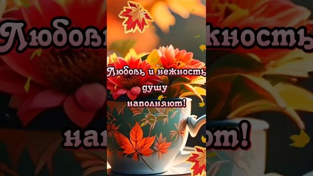 26 октября.Доброе утро. смотреть онлайн