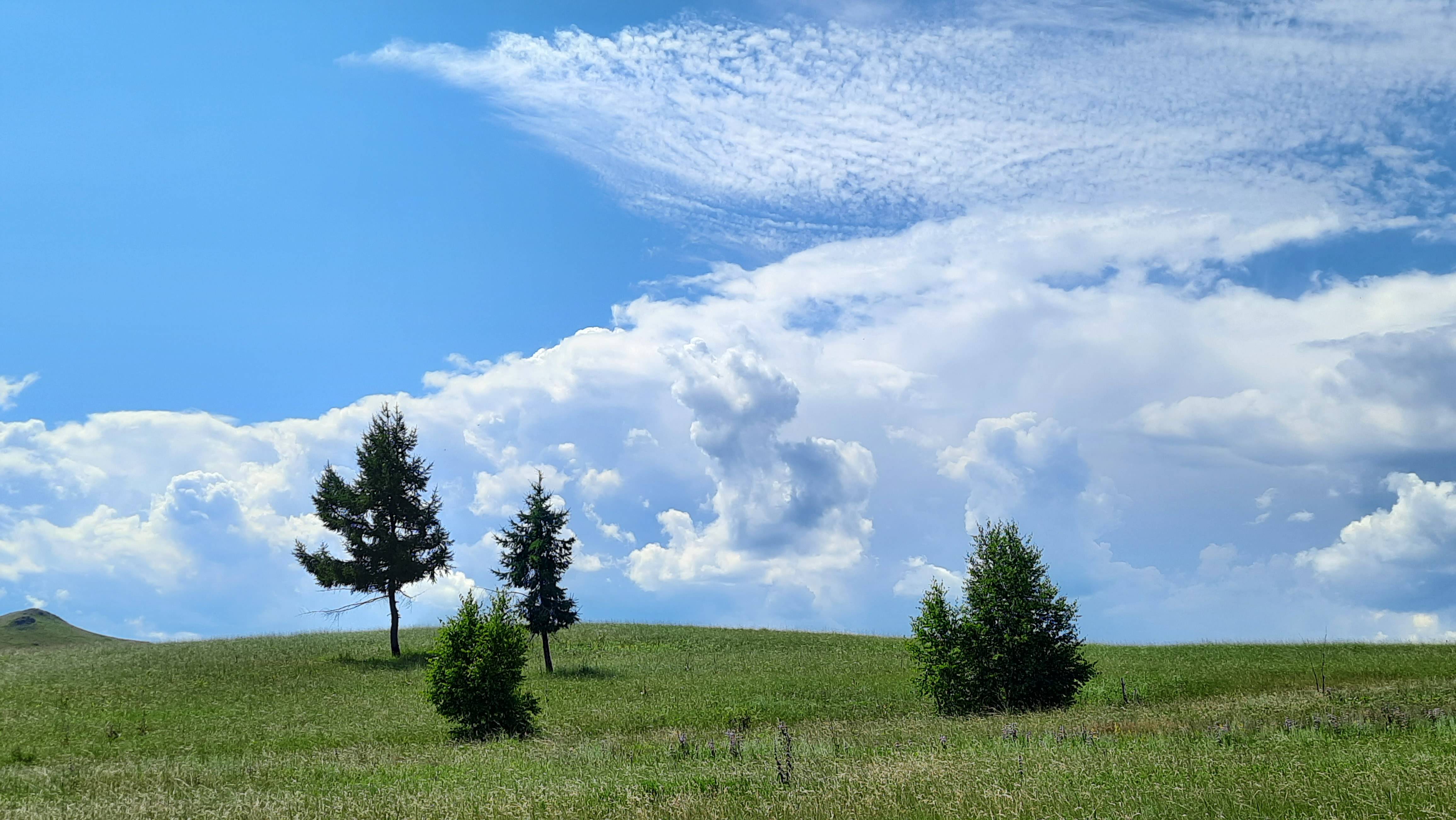 Видеозарисовка смотреть онлайн