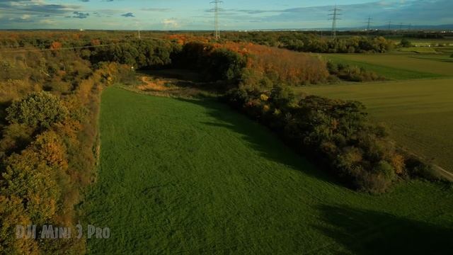 DJI Mini 3 Pro - Amazing Colors during Autumn, applying LUTs-color correction - in D-Cinelike смотреть онлайн