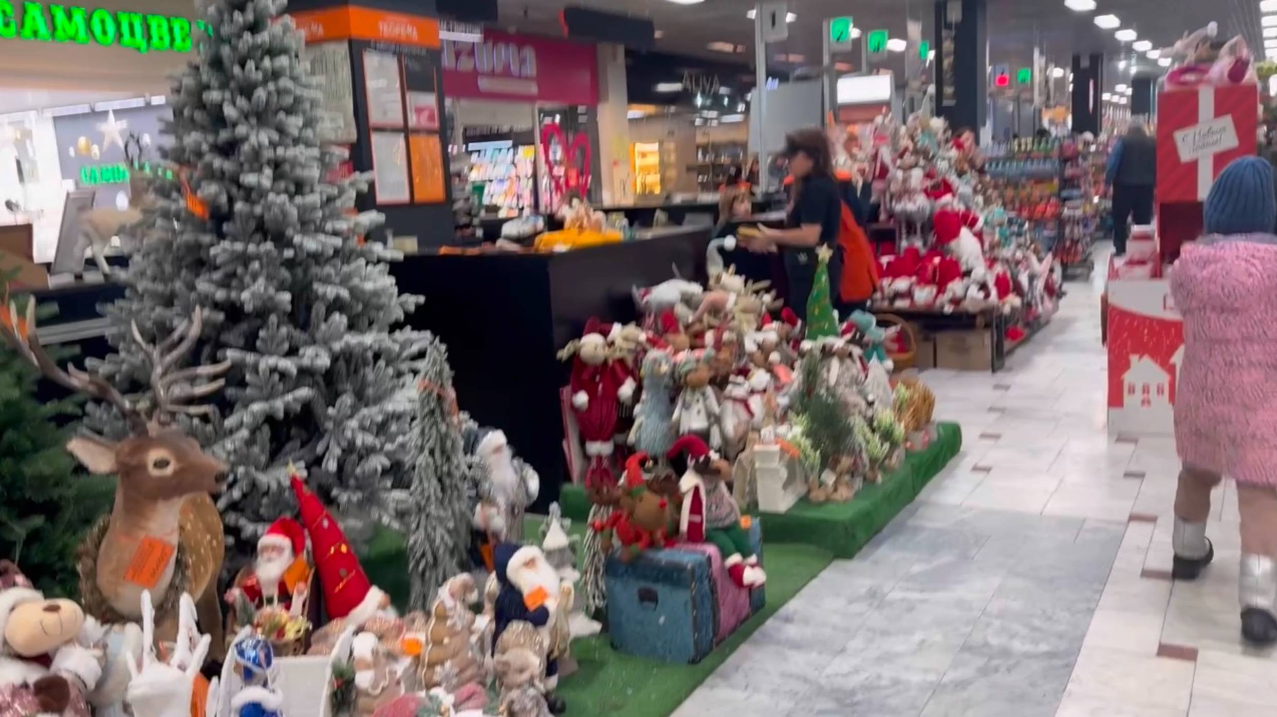 Закупка продуктов в Теореме. Новый пуховик.