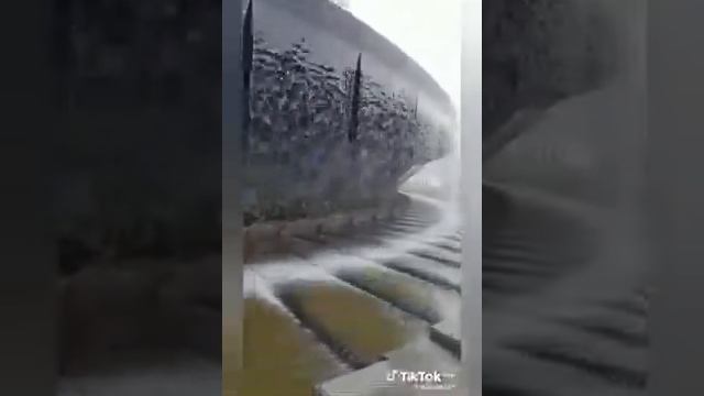 19 декабря 2024 г..mp4 смотреть онлайн