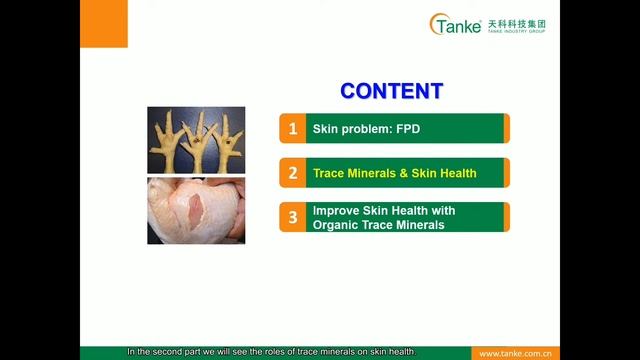 How To Improve Poultry Skin Health With Organic Minerals