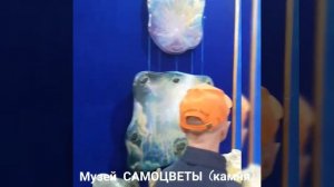 Счастливые люди.  Алтай