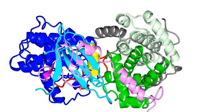 Cyclin Dependent Kinases And Their Inhibitors (with Sound)